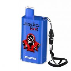 RandM-Squid-Box 5200 Puffs Disposable Vape Device Bulk Wholesale-Blueberry-Ice-Flavor