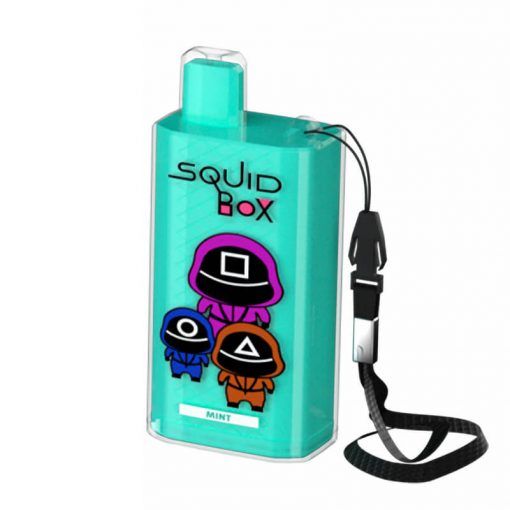 RandM-Squid-Box 5200 Puffs Disposable Vape Device Bulk Wholesale Mint-Flavor