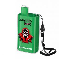 RandM-Squid-Box 5200 Puffs Disposable Vape Device Bulk Wholesale Strawberry-Kiwi-Flavor