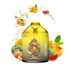 R&M Bar 9k 9000 Puffs Disposable Vape Device Bulk Wholesale Peack mango watermelon Flavor