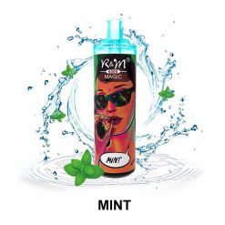 R&M MAGIC 6000 puffs Disposable Vape penBulk Wholesale Mint Flavor